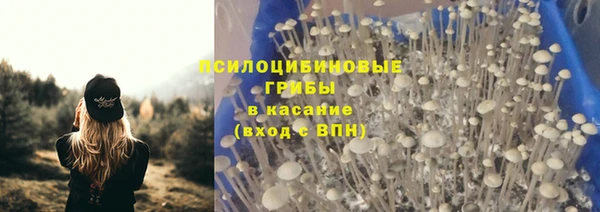 спиды Алзамай