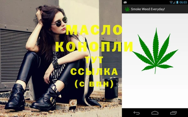 спиды Алзамай