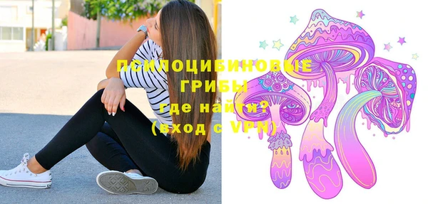 спиды Алзамай