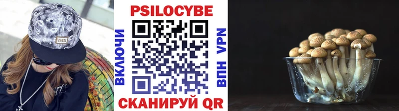 Купить закладки  Иваново  Псилоцибиновые грибы MAGIC MUSHROOMS 